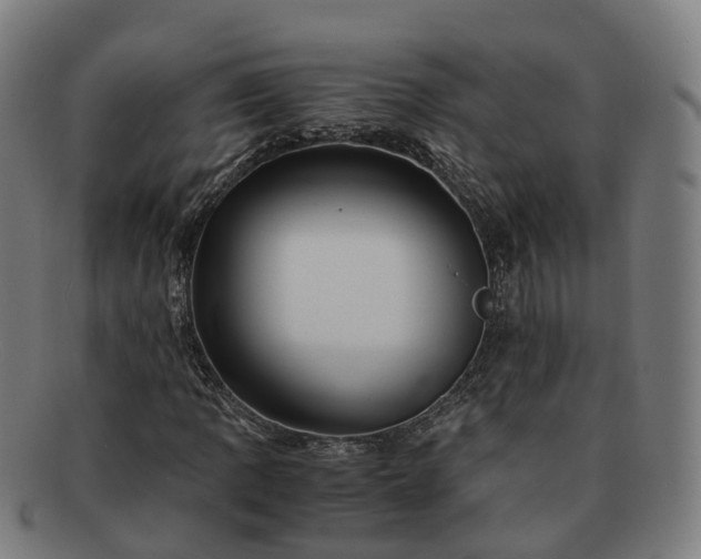 X0000091711109200708311110