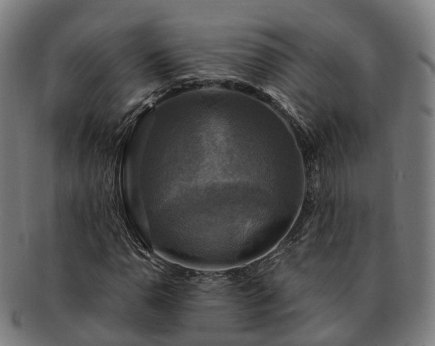 X0000091711110200708311110