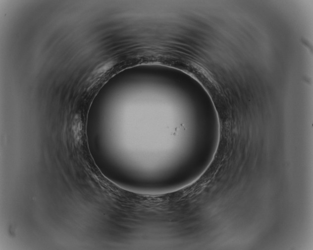 X0000091711111200708311110