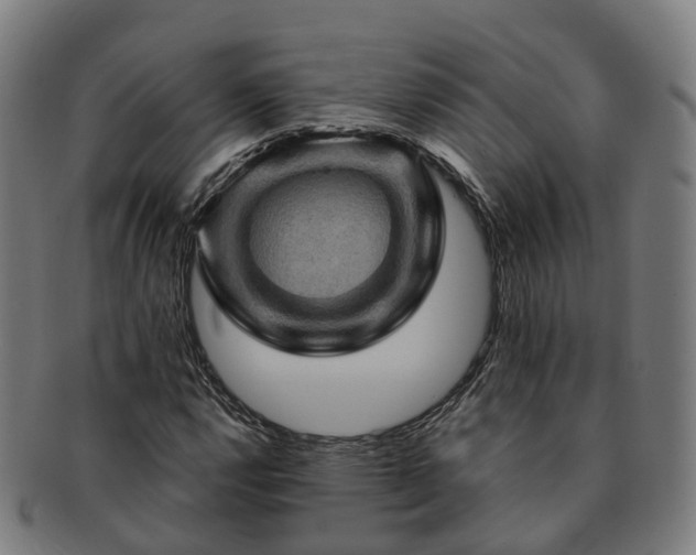 X0000091711112200708311110