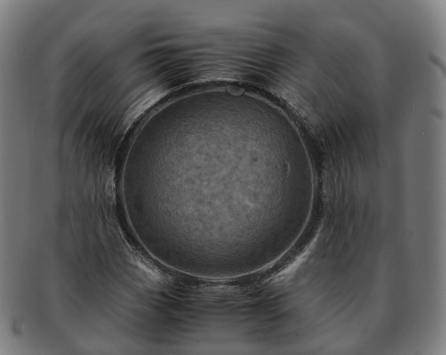 X0000091711113200708311110