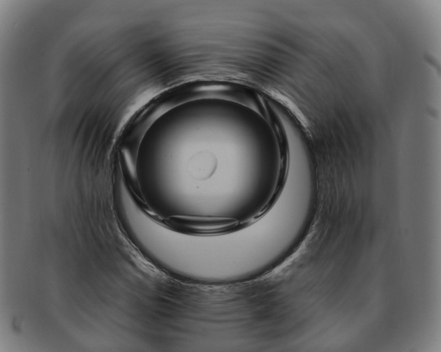 X0000091711114200708311110