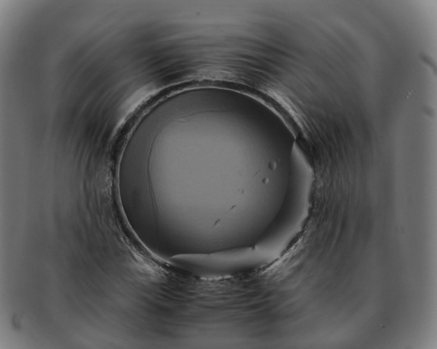 X0000091711115200708311110