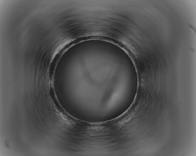 X0000091711117200708311110