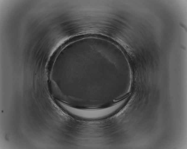 X0000091711118200708311110