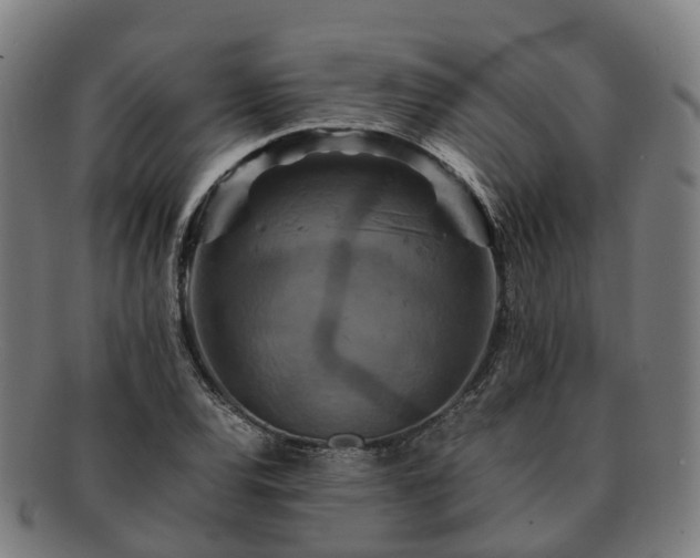 X0000091711120200708311110