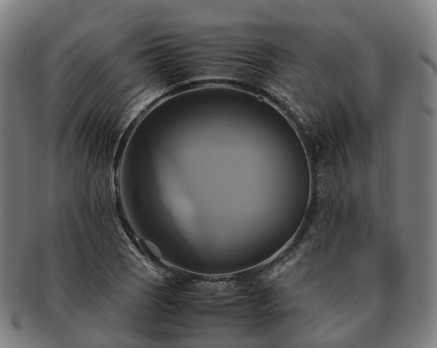 X0000091711121200708311110