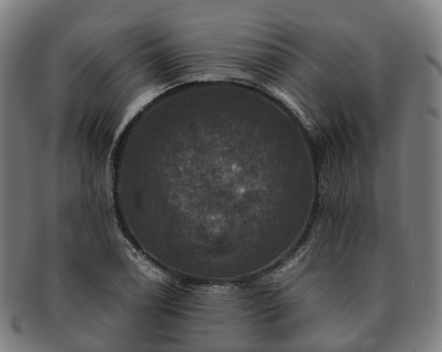 X0000091711122200708311110