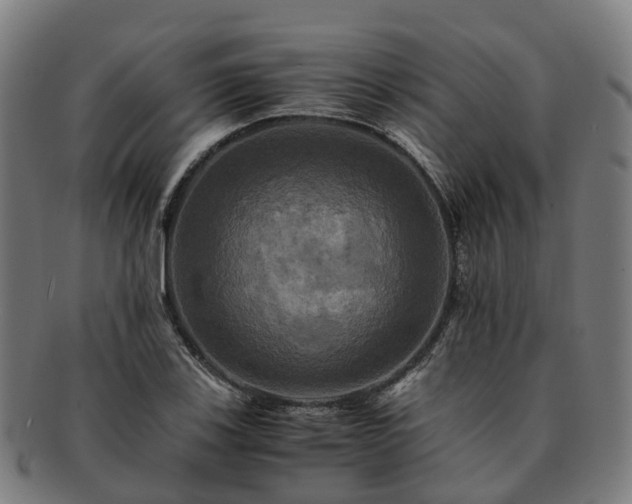 X0000091711123200708311110