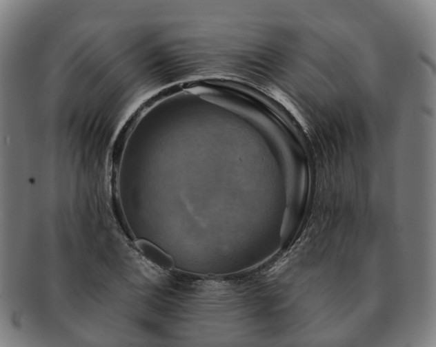 X0000091711124200708311110