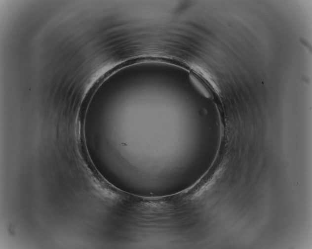 X0000091711125200708311110