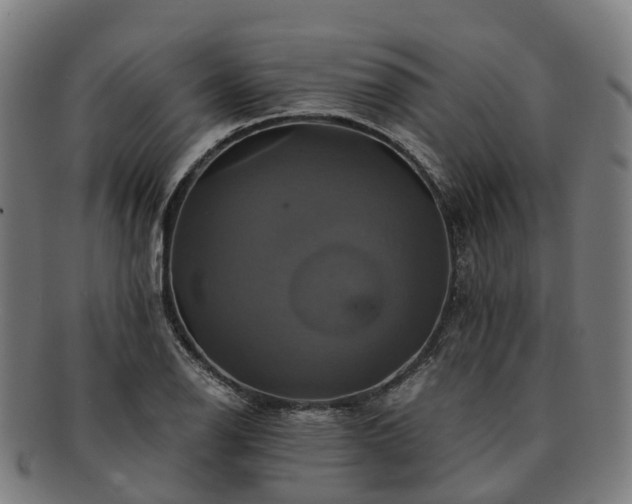 X0000091711126200708311110