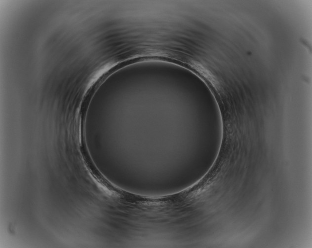 X0000091711127200708311110