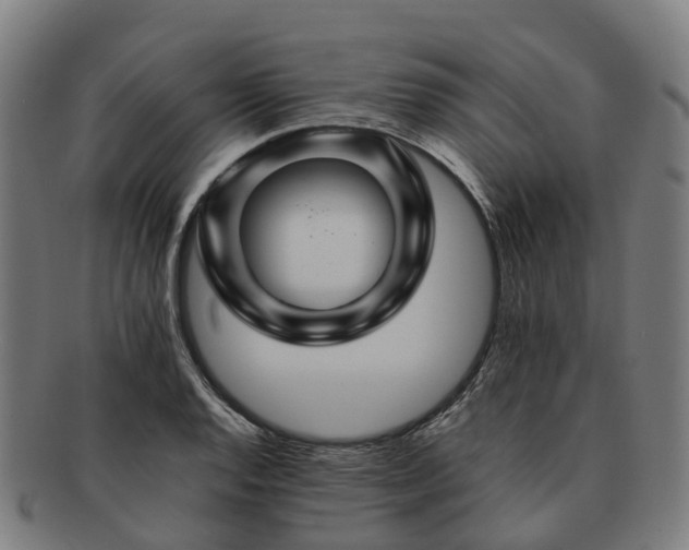 X0000091711128200708311110