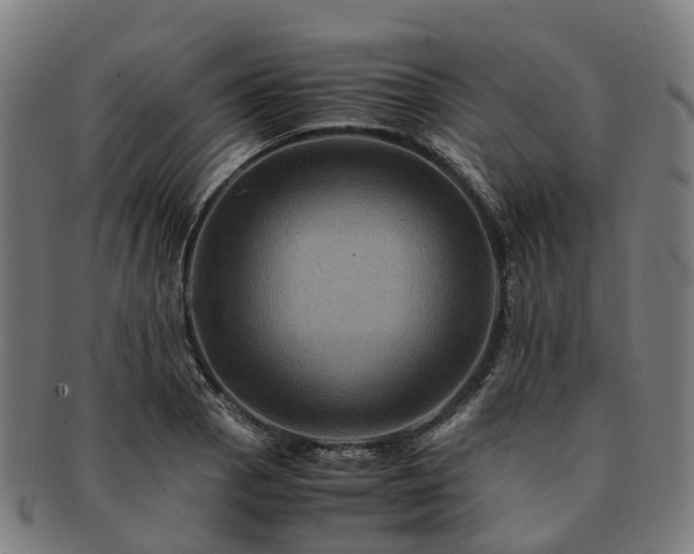 X0000091711129200708311110