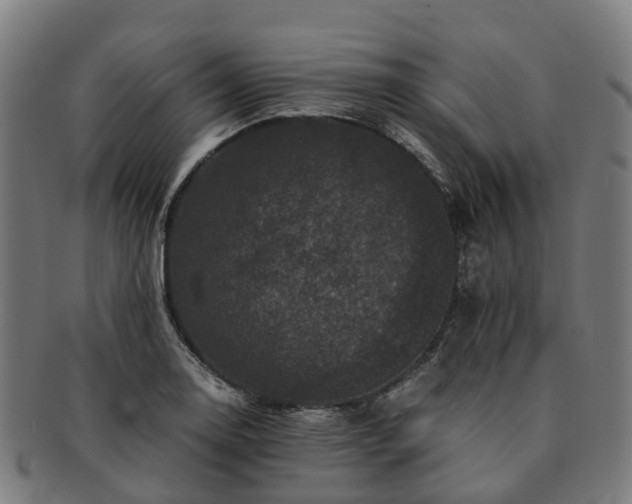 X0000091711130200708311110