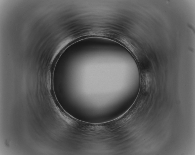 X0000091711131200708311110