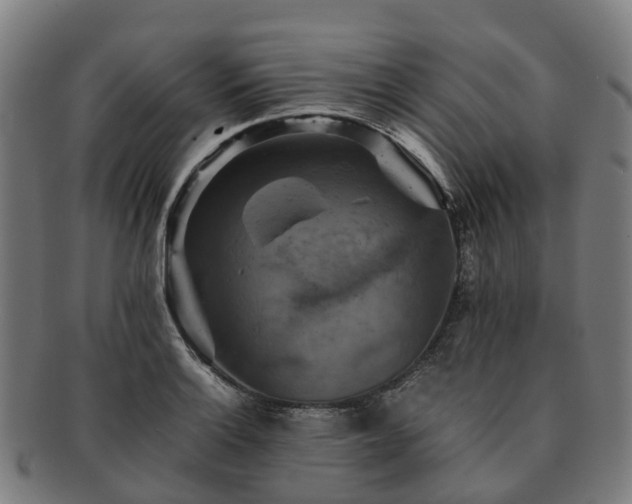 X0000091711132200708311110