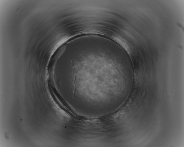 X0000091711133200708311110