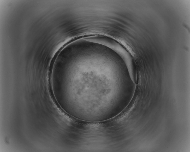 X0000091711134200708311110