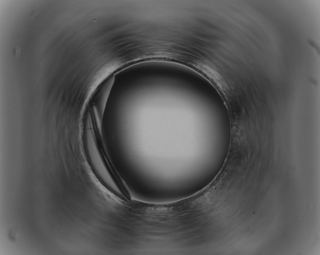 X0000091711135200708311110