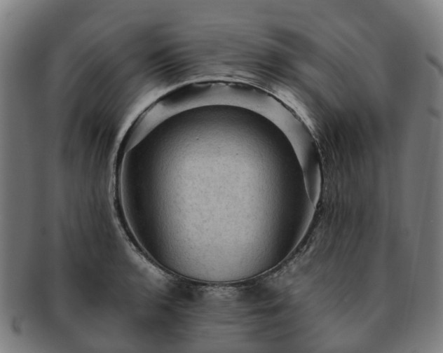 X0000091711136200708311110