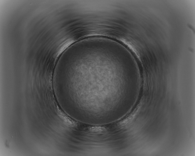 X0000091711137200708311110