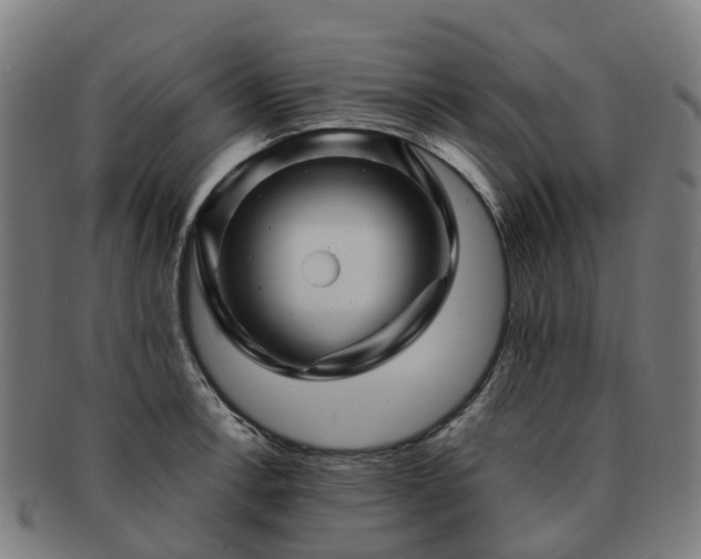 X0000091711138200708311110