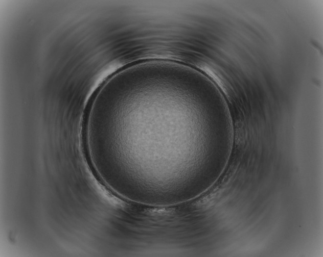 X0000091711139200708311110