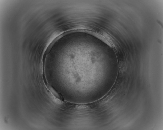 X0000091711140200708311110