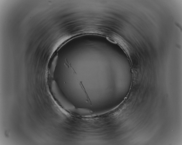 X0000091711141200708311110