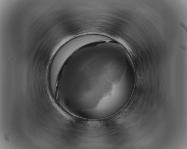 X0000091711142200708311110