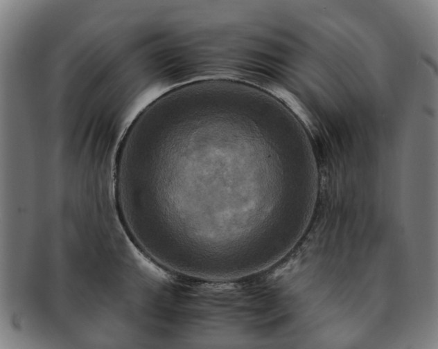 X0000091711143200708311110