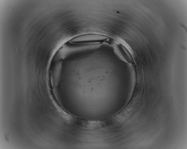 X0000091711144200708311110