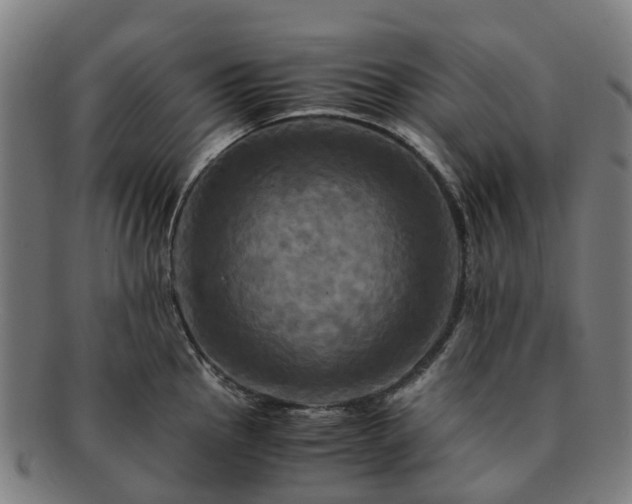 X0000091711145200708311110