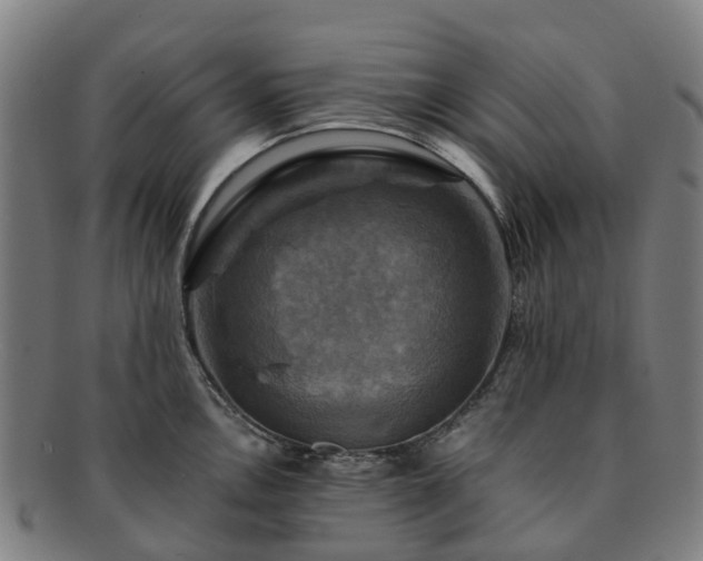 X0000091711146200708311110