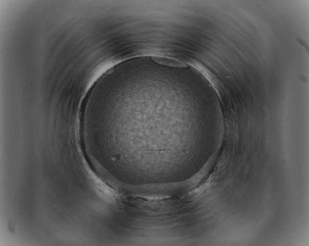 X0000091711147200708311110