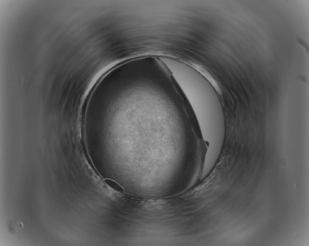 X0000091711148200708311110