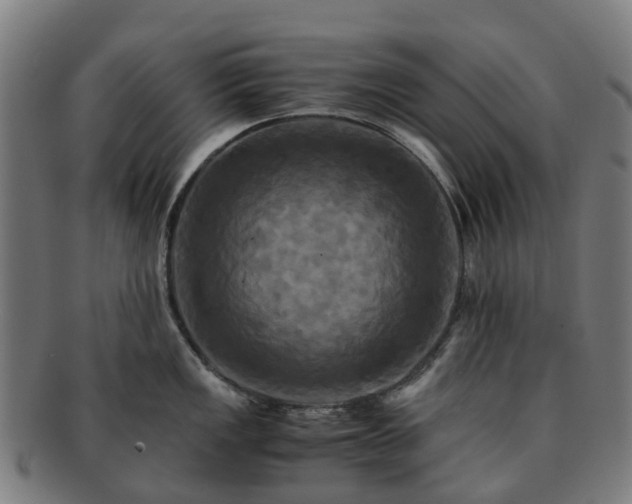 X0000091711149200708311110