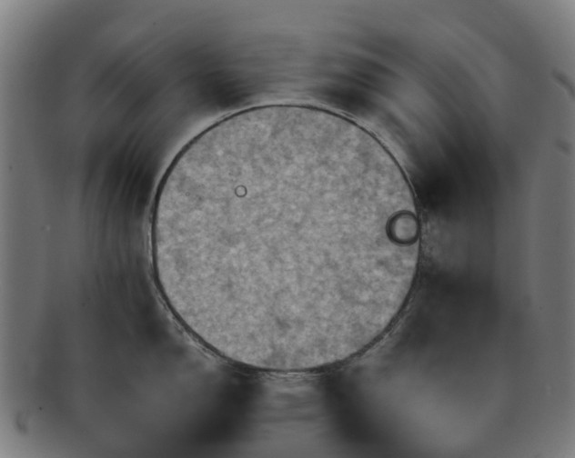 X0000091711150200708311110