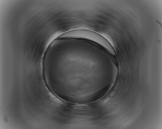 X0000091711151200708311110