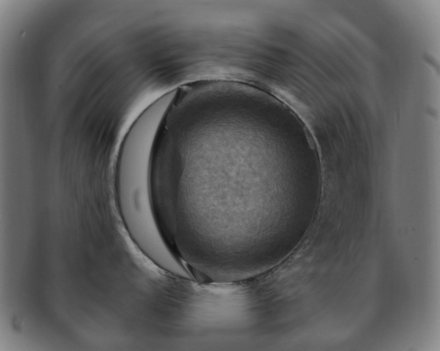 X0000091711152200708311110