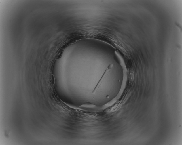 X0000091711153200708311110