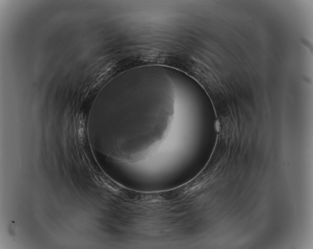 X0000091711154200708311110