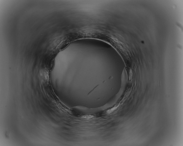 X0000091711155200708311109