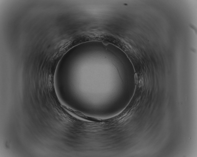 X0000091711156200708311109