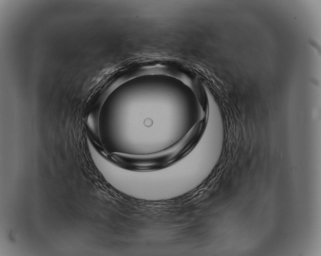 X0000091711157200708311109