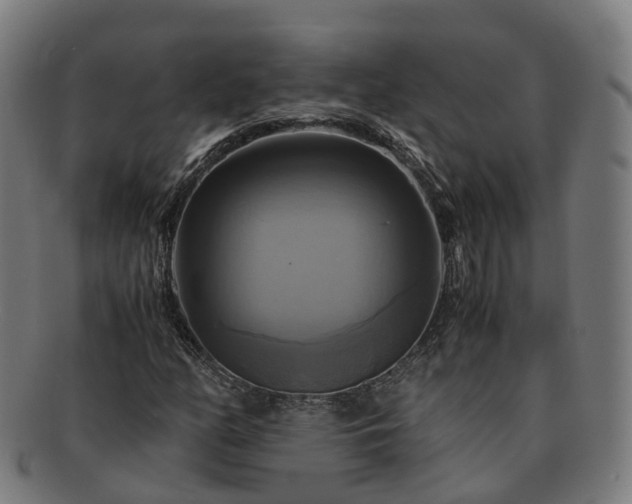 X0000091711158200708311109