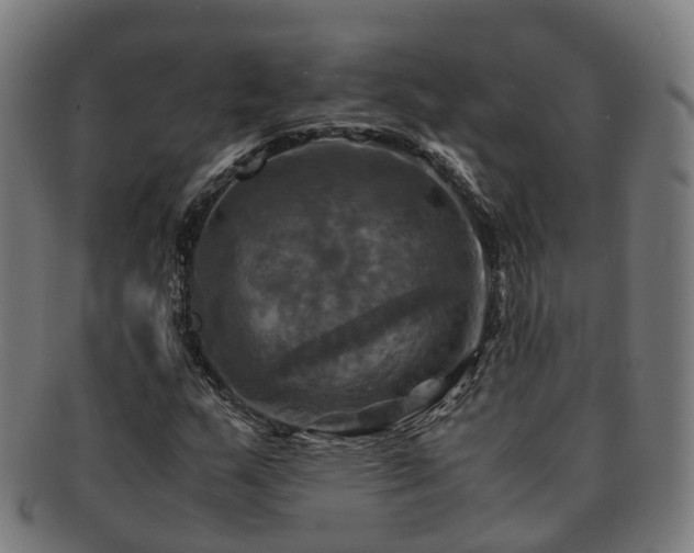 X0000091711159200708311109