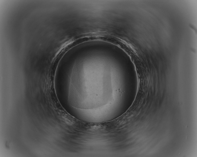 X0000091711160200708311109